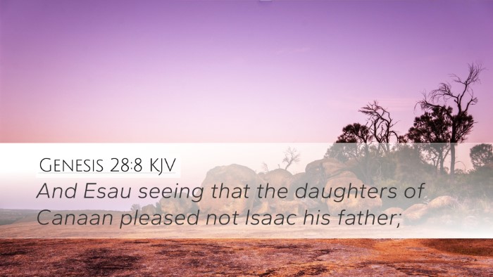Genesis 28:8 Bible Commentary