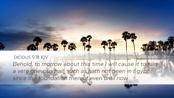 Exodus 9:18 Bible Commentary