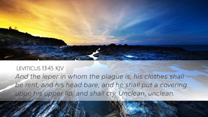 Leviticus 13:45 Bible Commentary