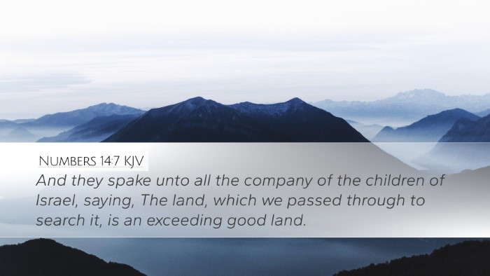 Numbers 14:7 Bible Commentary