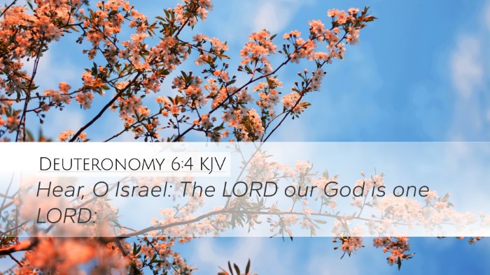 Deuteronomy 6:4 Bible Commentary