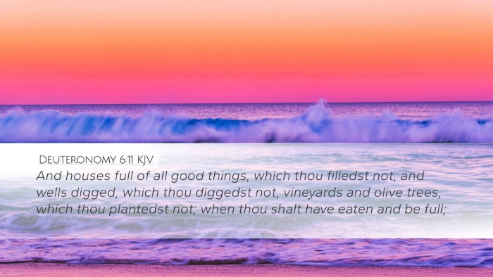 Deuteronomy 6:11 Bible Commentary