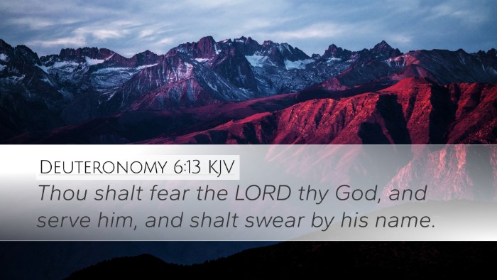 Deuteronomy 6:13 Bible Commentary