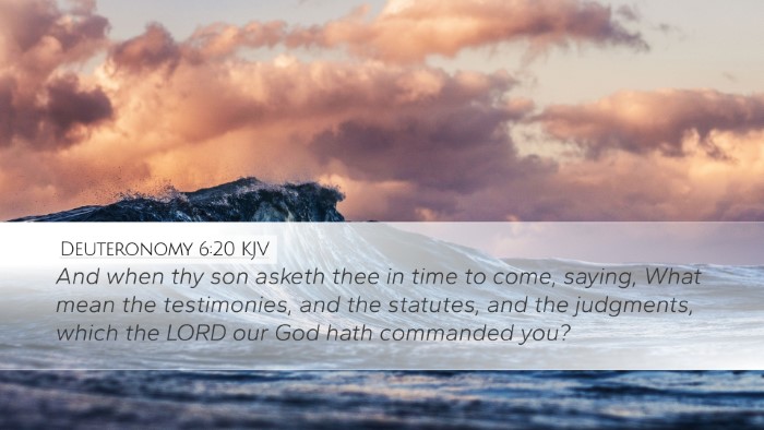 Deuteronomy 6:20 Bible Commentary