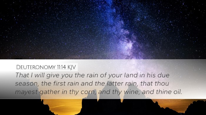 Deuteronomy 11:14 Bible Commentary