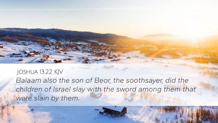 Joshua 13:22 Bible Commentary