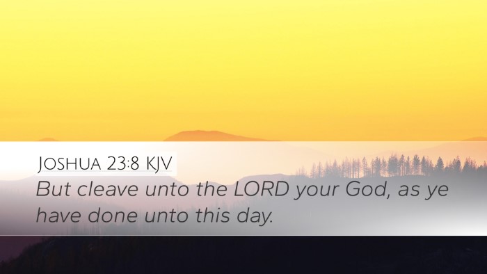 Joshua 23:8 Bible Commentary