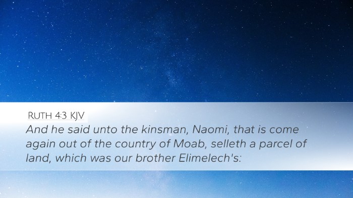 Ruth 4:3 Bible Commentary