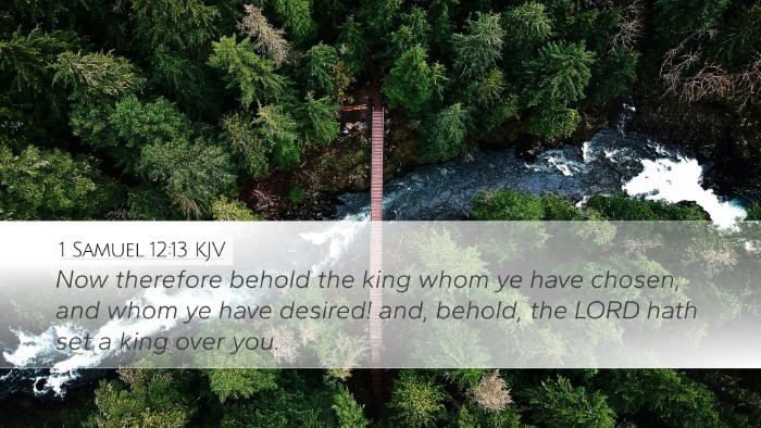 1 Samuel 12:13 Bible Commentary