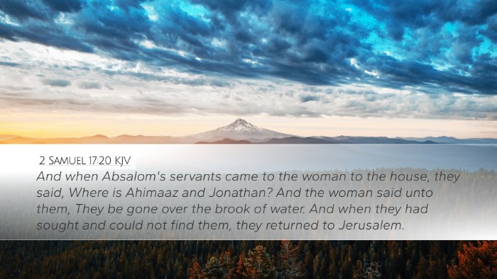 2 Samuel 17:20 Bible Commentary