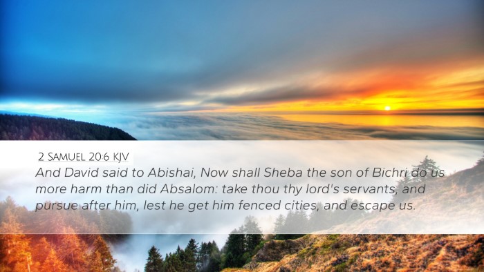 2 Samuel 20:6 Bible Commentary
