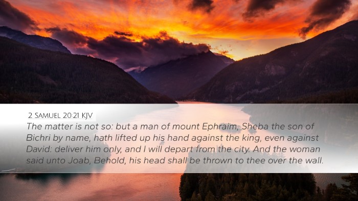 2 Samuel 20:21 Bible Commentary