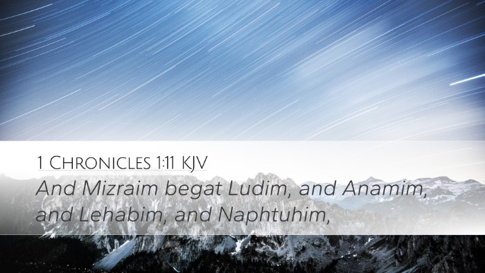 1 Chronicles 1:11 Bible Commentary
