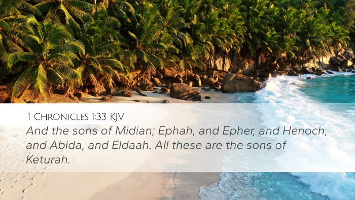 1 Chronicles 1:33 Bible Commentary