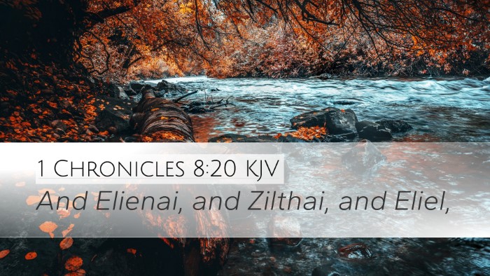 1 Chronicles 8:20 Bible Commentary