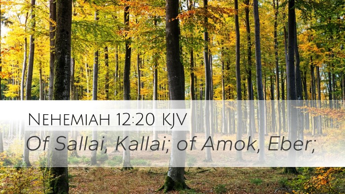 Nehemiah 12:20 Bible Commentary