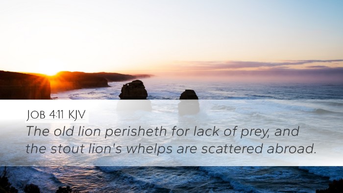 Job 4:11 Bible Commentary