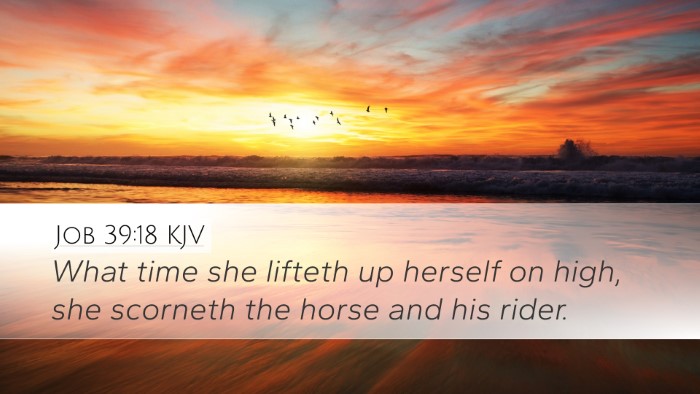 Job 39:18 Bible Commentary