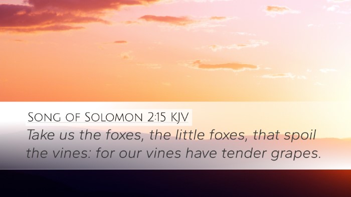 Song of Solomon 2:15 Bible Commentary