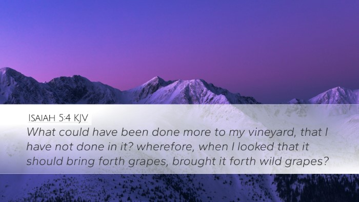 Isaiah 5:4 Bible Commentary