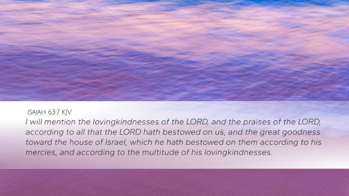 Isaiah 63:7 Bible Commentary