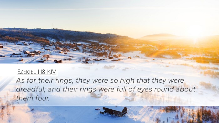 Ezekiel 1:18 Bible Commentary