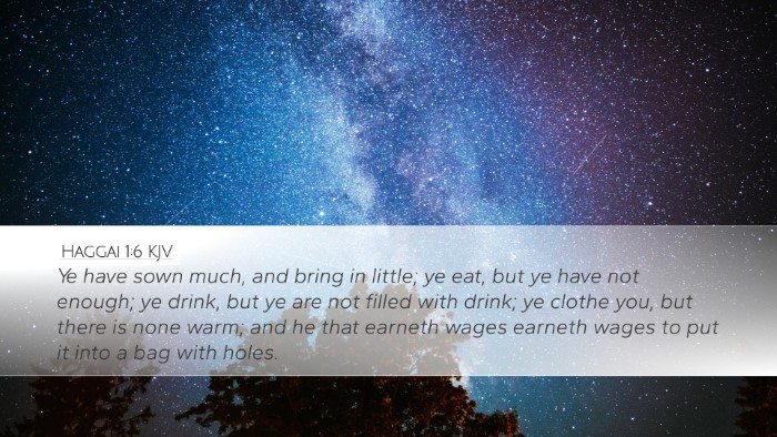 Haggai 1:6 Bible Commentary
