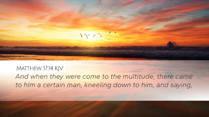 Matthew 17:14 Bible Commentary