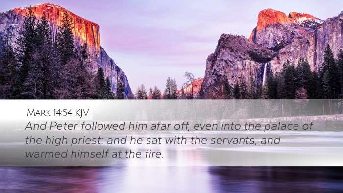 Mark 14:54 Bible Commentary