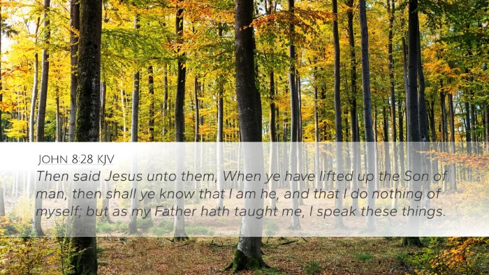 John 8:28 Bible Commentary