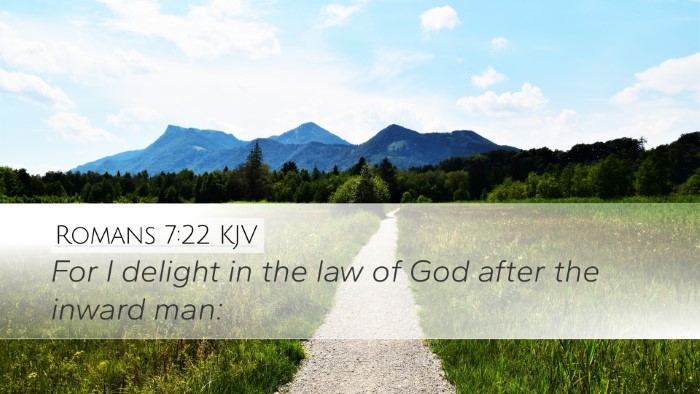Romans 7:22 Bible Commentary
