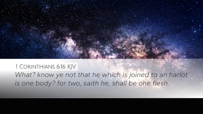 1 Corinthians 6:16 Bible Commentary