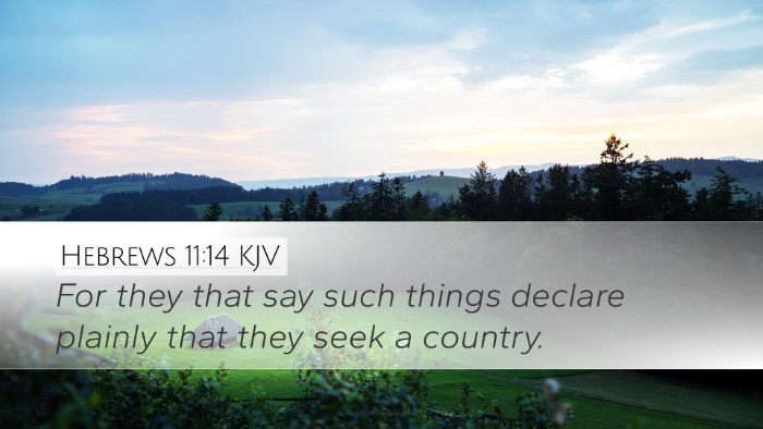 Hebrews 11:14 Bible Commentary