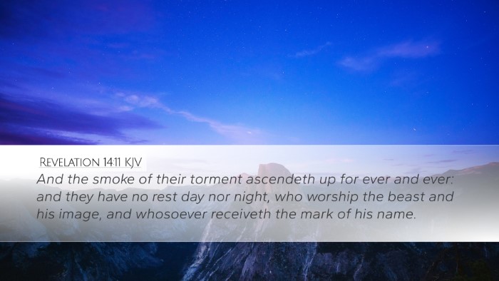 Revelation 14:11 Bible Commentary